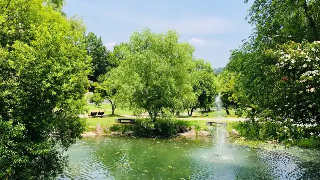 鄰近竹綠苑的酒店