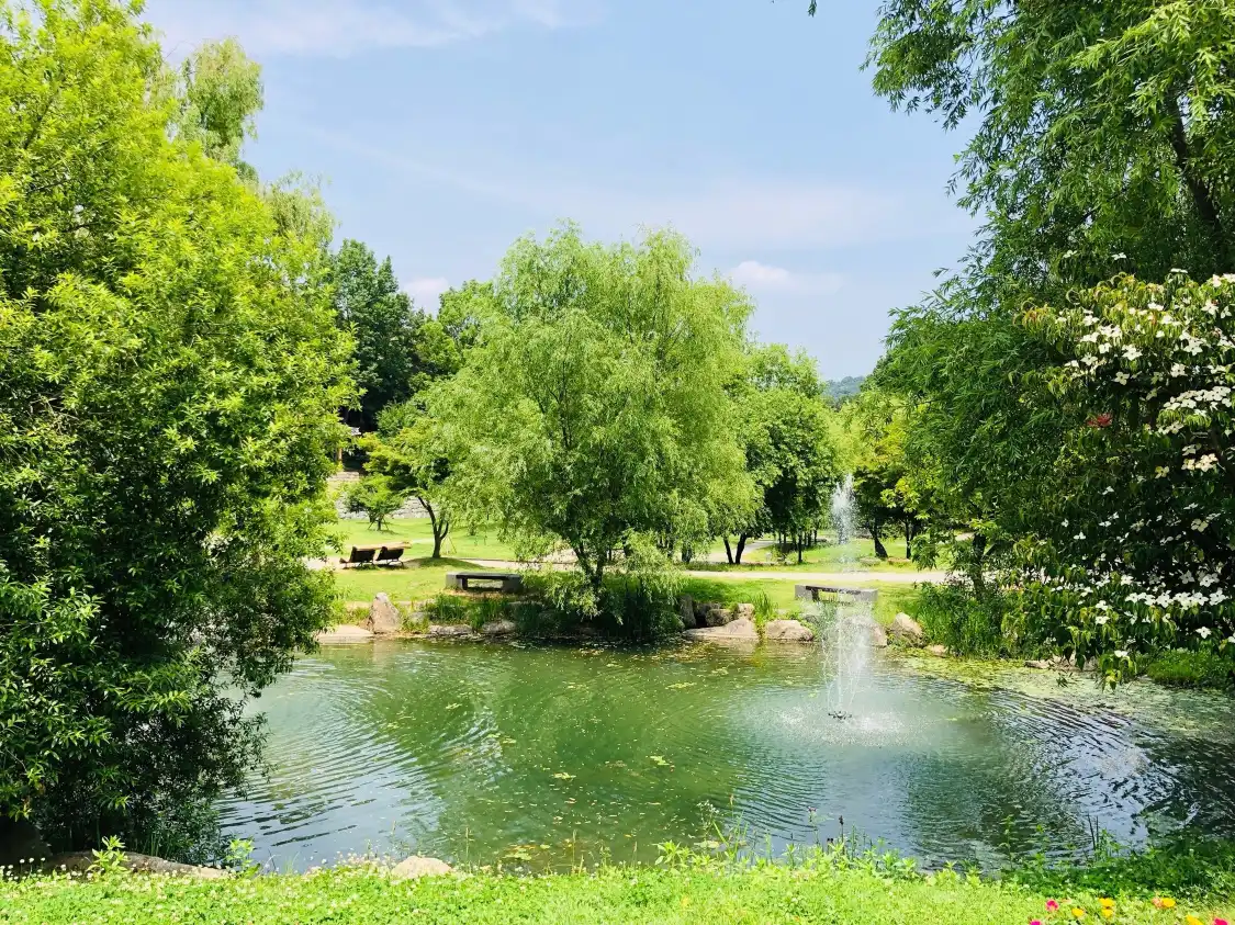 Hotels near Juknokwon (Bamboo Forest)