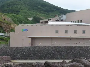 男鹿水族館GAO