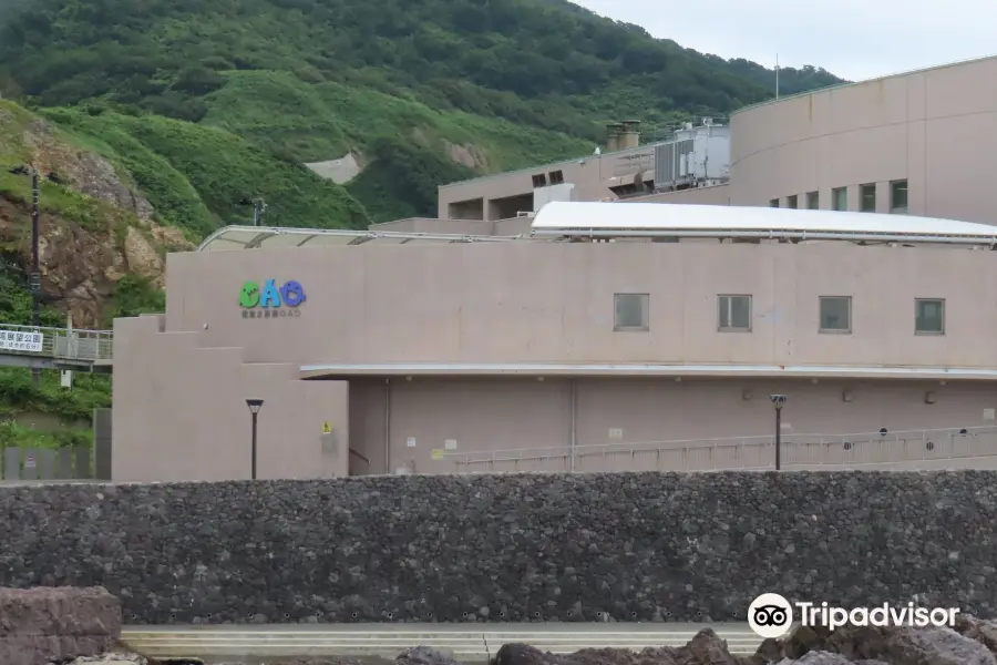 男鹿水族館GAO