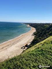 Sandringham Beach