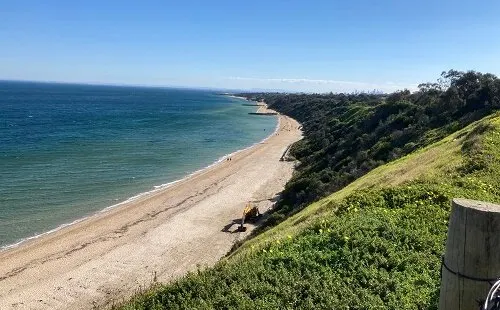 Sandringham Beach