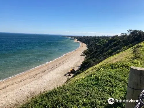 Sandringham Beach