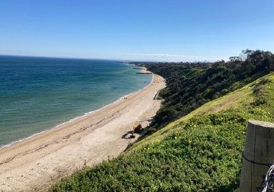 Sandringham Beach