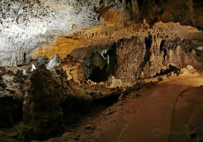 Grottes d'Arcy-sur-Cure | Haut lieu de la Préhistoire | 89