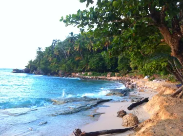 Maria Trinidad Sanchez