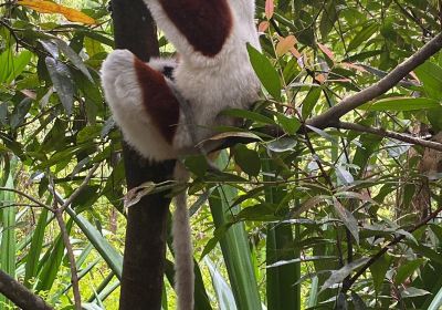 Réserve Peyrieras Madagascar Exotic