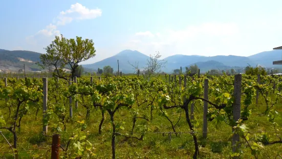 Çobo Winery