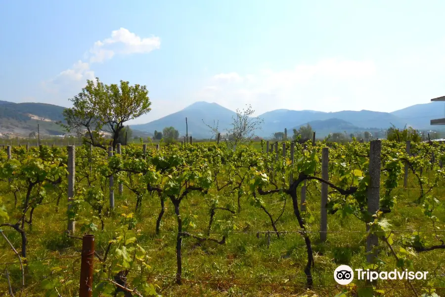 Çobo Winery