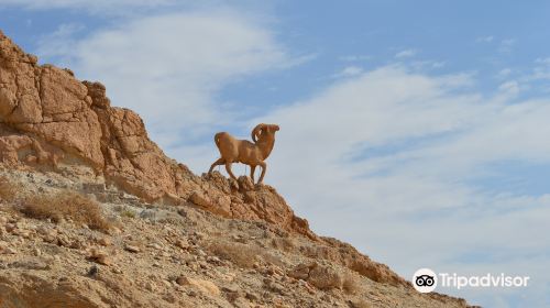 Sahara Desert