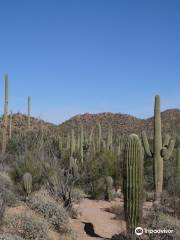 Cactus Garden Trail