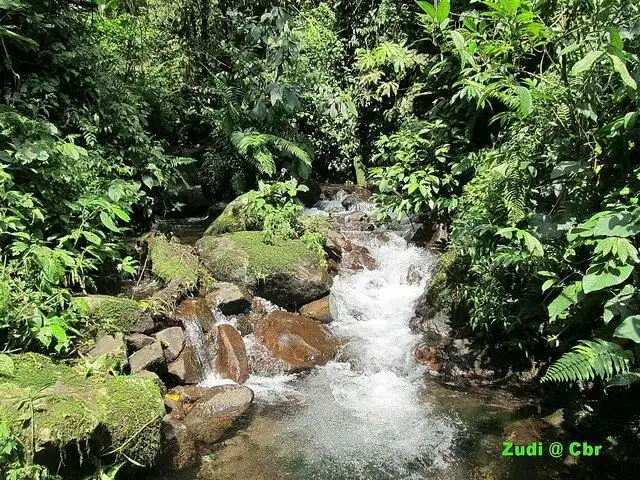 Hotel dekat Taman Anggur Kukulu O&i Farm Subang