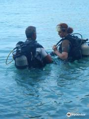 Panama Divers PADI Dive Resort