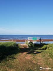 Chelton Beach Provincial Park