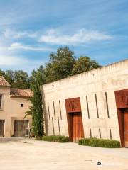 Domaine Costes-Cirgues