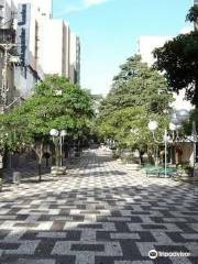 Calcadao da Avenida Parana