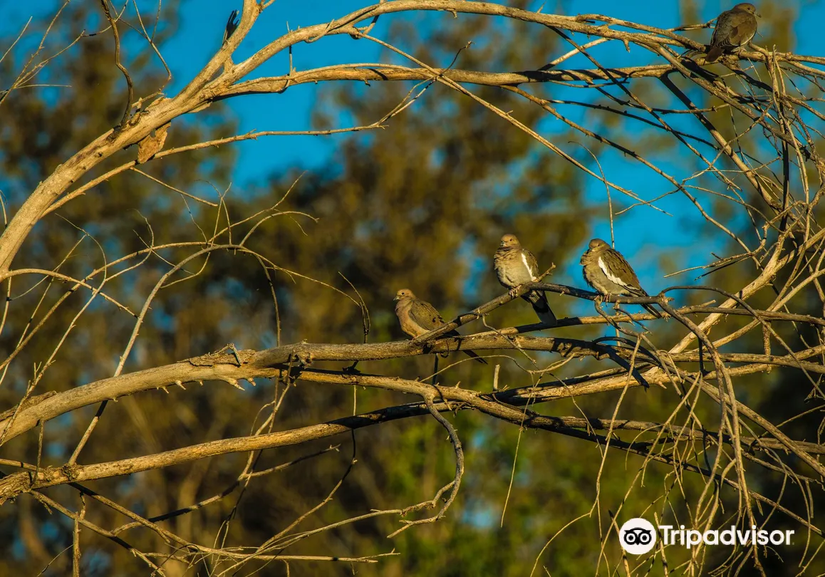 3_The I-20 Wildlife Preserve & Jenna Welch Nature Study Center
