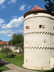 Löwen- und Pulverturm