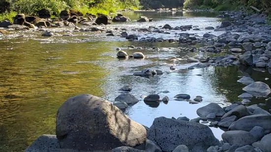 Lewisville Regional Park