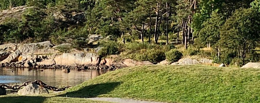Stavern
