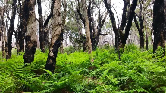 Arakoon National Park