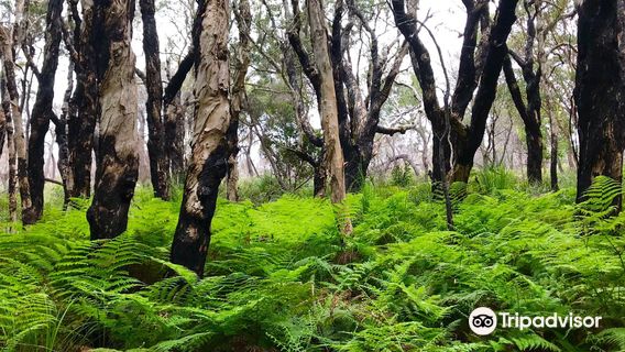 Arakoon National Park