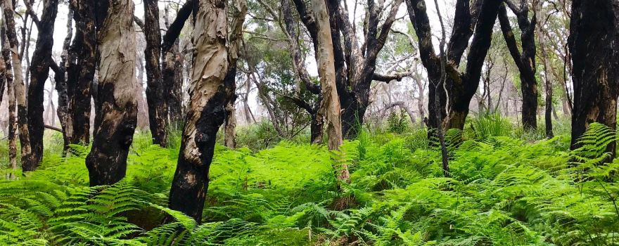 Arakoon National Park