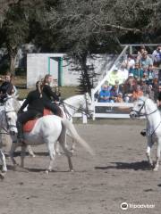 Herrmanns' Royal Lipizzan Stallions