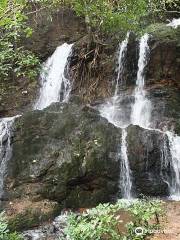 Adyar Falls
