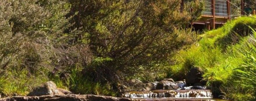 New Town Rivulet Park