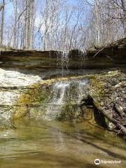 Salamonie River State Forest