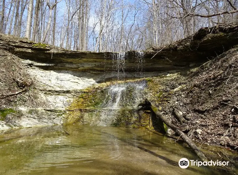 Salamonie River State Forest