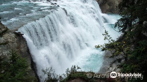 Wapta Falls