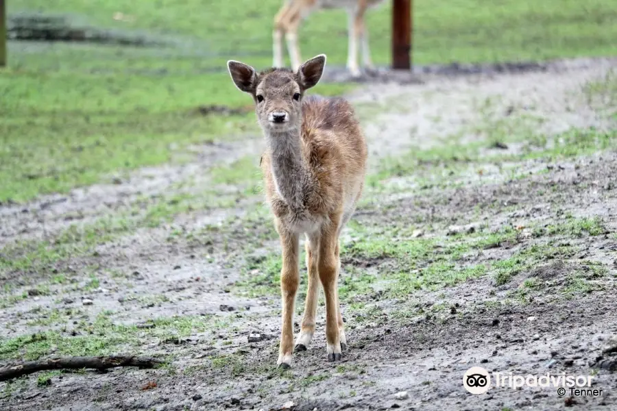 Tierpark Weisswasser