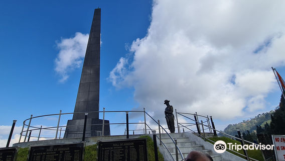 Батасия Луп