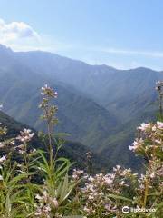 Generals Hwy lookout