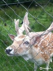 Farran Forest Park