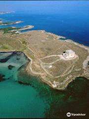 Torre Guaceto Marine Protected Area