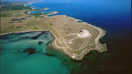 Torre Guaceto Marine Protected Area