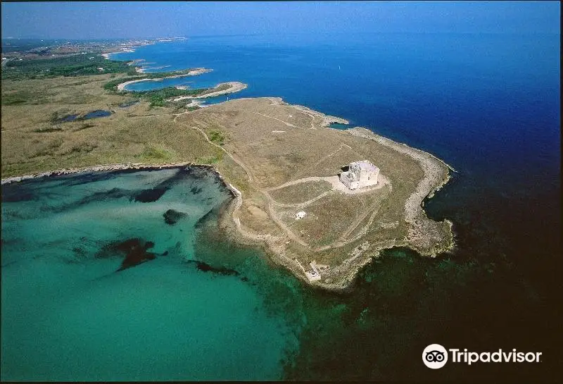 Torre Guaceto Marine Protected Area