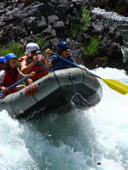 Redwoods and Rivers Rafting