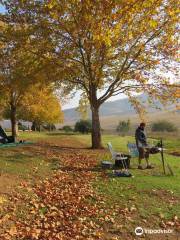 Mount Currie Nature Reserve Kokstad