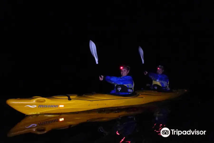 Canoe & Kayak and the Roof Rack Centre BOP