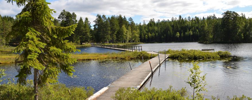 Smedjebacken