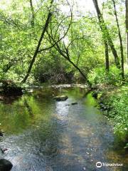 Aldergrove Regional Park