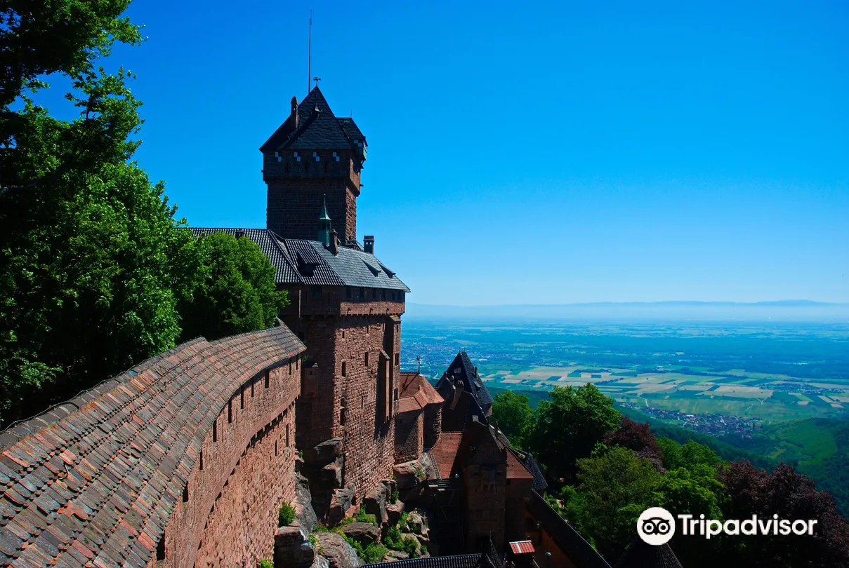 1_Château du Haut-Koenigsbourg