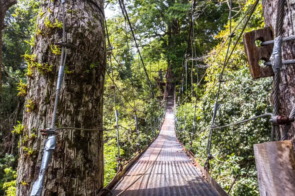 3_Chiclets Zipline