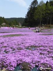 花のじゅうたん