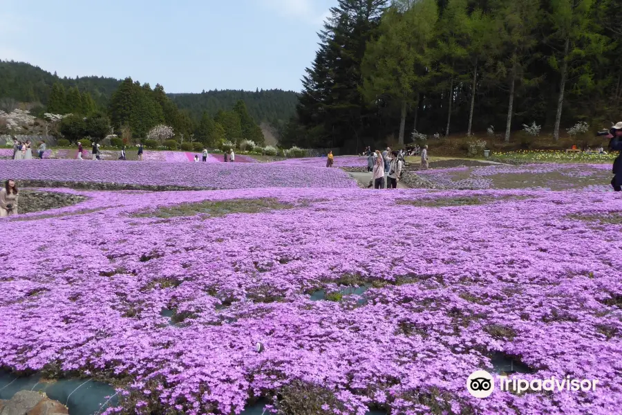 花のじゅうたん