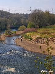 Clifton Country Park